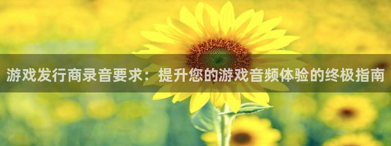 蓝狮电子商务有限公司怎么样知乎：游戏发行商录音要求：提升您的游戏音频体验的终极指南