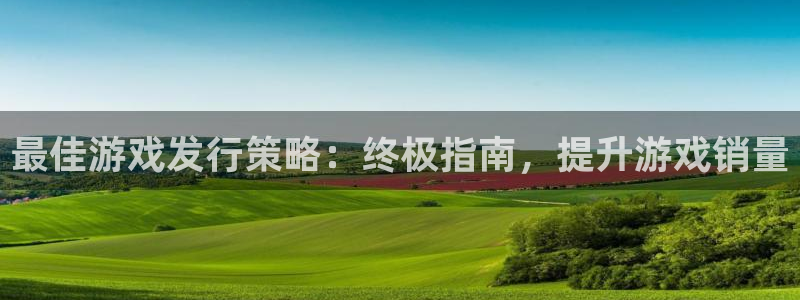 蓝狮在线注册平台官网：最佳游戏发行策略：终极指南，提升游戏销量