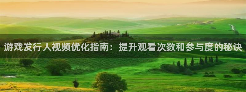 蓝狮子上市了吗：游戏发行人视频优化指南：提升观看次数和参与度的秘诀