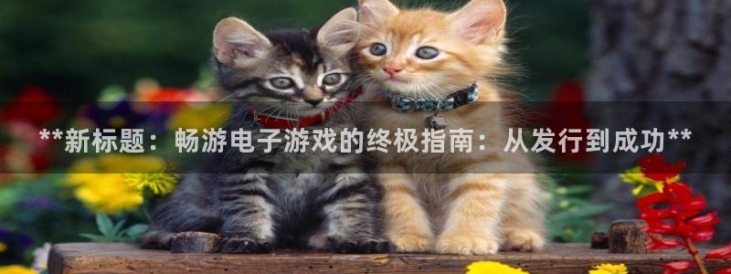 蓝狮子文化：**新标题：畅游电子游戏的终极指南：从发行到成功**