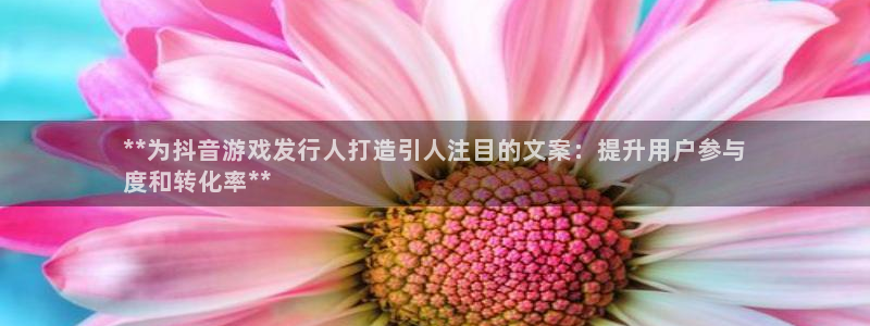 蓝狮电子科技：**为抖音游戏发行人打造引人注目的文案：提升用户参与
度和转化率**