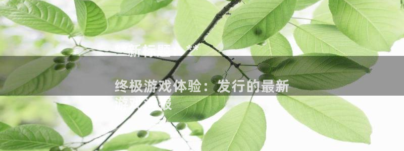 蓝狮在线客服服务怎么样：**新标题：**

终极游戏体验：发行的最新
游戏海报