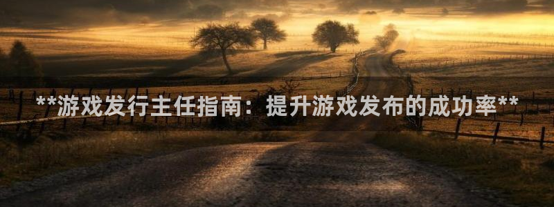 蓝狮在线注册地址在哪里查：**游戏发行主任指南：提升游戏发布的成功率**