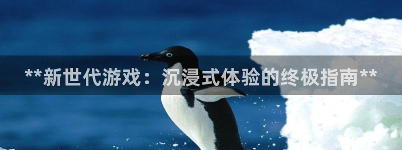 广东蓝狮电子商务有限公司