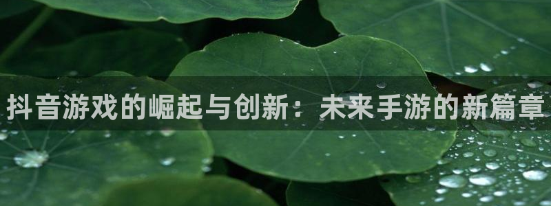 蓝狮啤酒怎么样