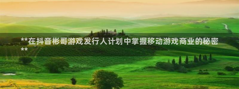 广州蓝狮运动服：**在抖音彬哥游戏发行人计划中掌握移动游戏商业的秘密
**