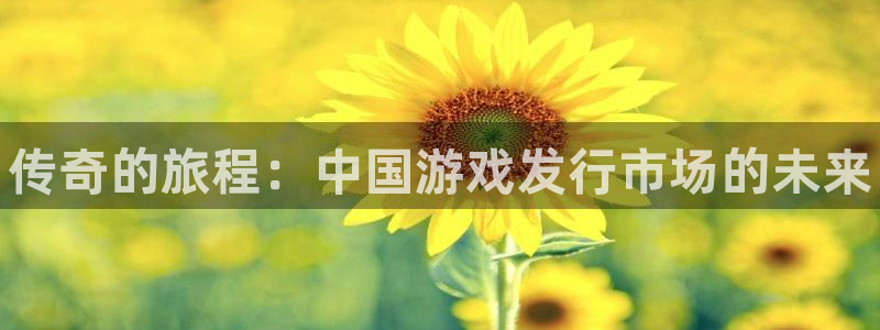 蓝狮子文化创意有限公司特邀玩家：传奇的旅程：中国游戏发行市场的未来