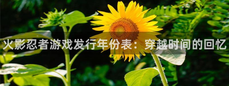 蓝狮子文化是什么：火影忍者游戏发行年份表：穿越时间的回忆