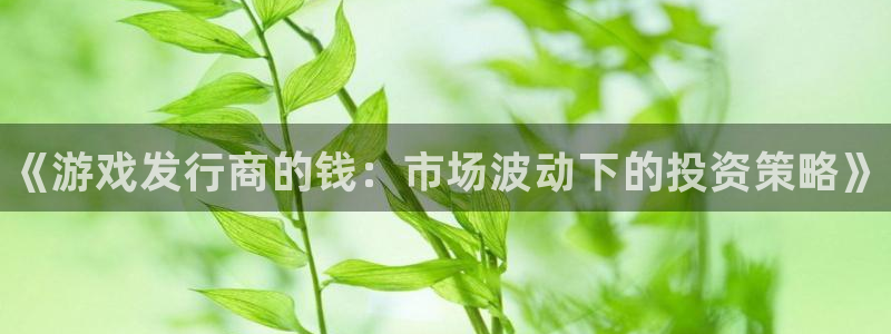 蓝狮在线注册地址查询：《游戏发行商的钱：市场波动下的投资策略》