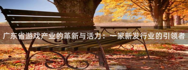 蓝狮校服：广东省游戏产业的革新与活力：一家新发行业的引领者