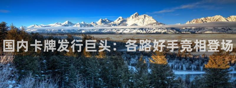 蓝狮子文化创意有限公司特邀玩家：国内卡牌发行巨头：各路好手竞相登场