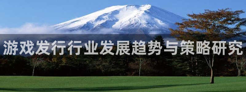 蓝狮在线平台代理条件怎么样：游戏发行行业发展趋势与策略研究