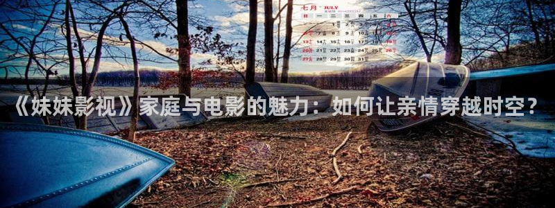 小小影视老版本：《妹妹影视》家庭与电影的魅力：如何让亲情穿越时空？
