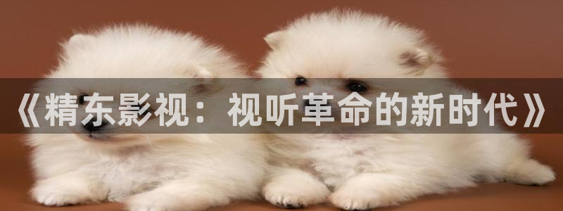 小小影视.：《精东影视：视听革命的新时代》
