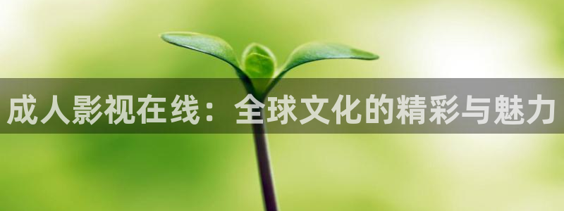 小小影视app官网：成人影视在线：全球文化的精彩与魅力