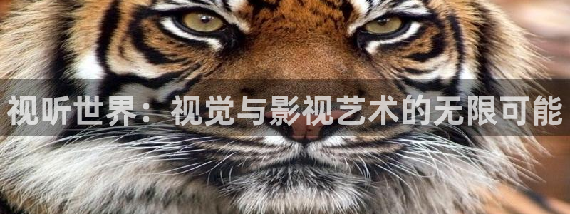 小小影院在线免费观看：视听世界：视觉与影视艺术的无限可能