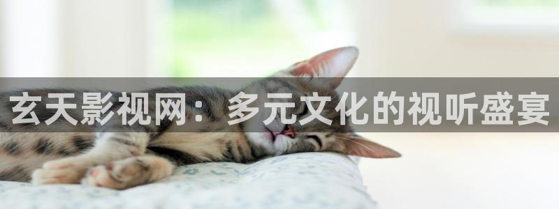 小小影视大全在线播放：玄天影视网：多元文化的视听盛宴