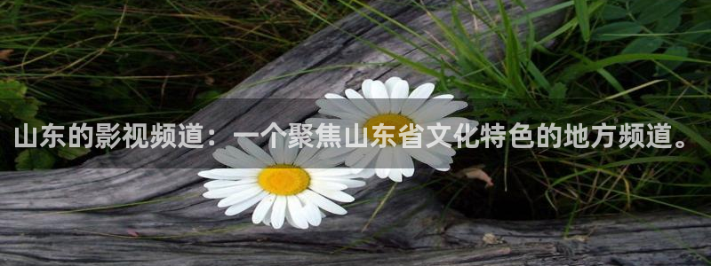 小小影视tv版下载：山东的影视频道：一个聚焦山东省文化特色的地方频道。