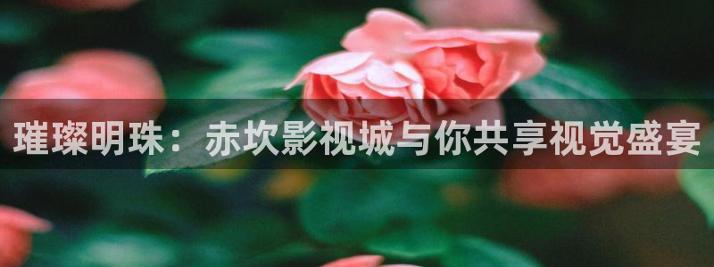 小小影视app软件：璀璨明珠：赤坎影视城与你共享视觉盛宴