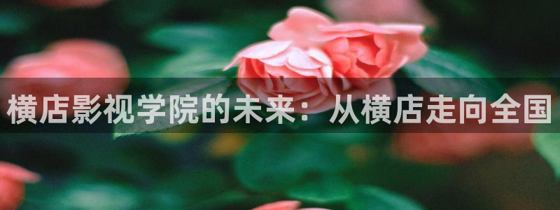小小影视电影：横店影视学院的未来：从横店走向全国